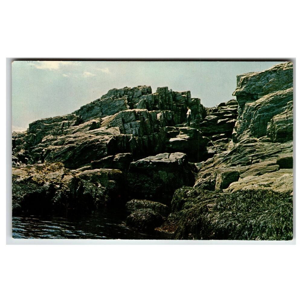 Bailey Island Maine Giant Staircase Vintage Postcard 1964 Owen Art-Color